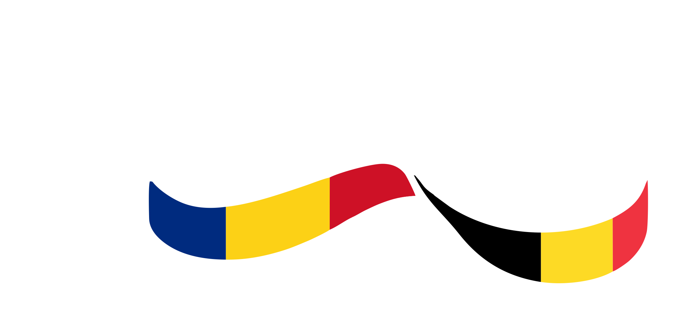 Partidul Democrat al Românilor din Belgia